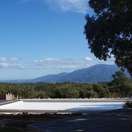 Mas La Marchette Céret Exterior photo