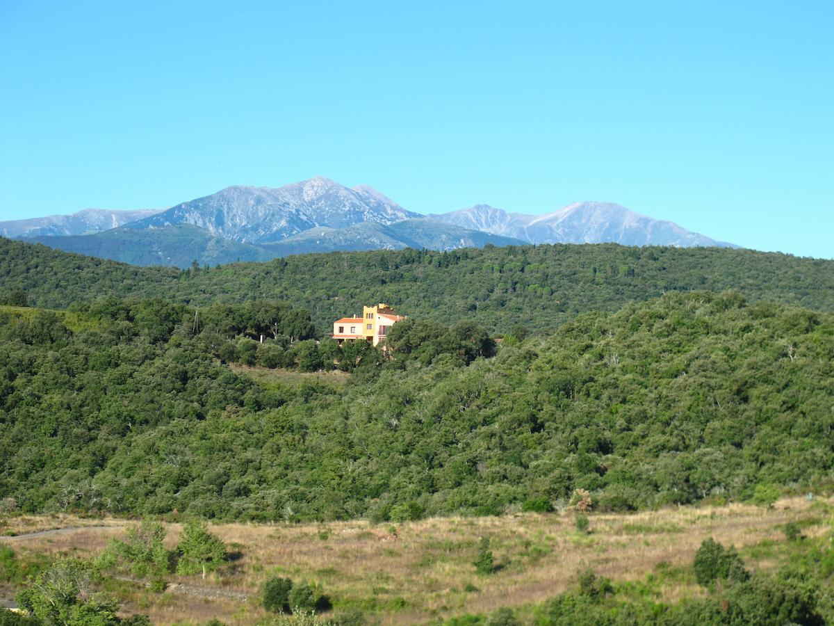 Mas La Marchette Céret Exterior photo